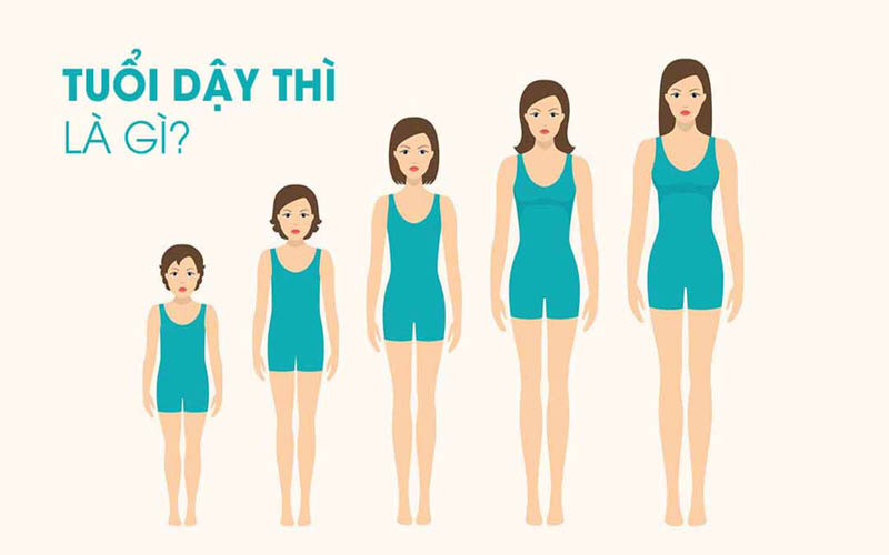 Sự phát triển về chiều cao