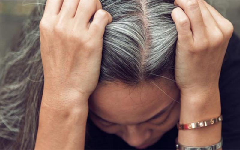 Hà thủ ô trắng giúp cải thiện tóc bạc sớm