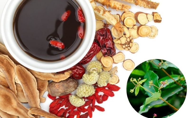 Vị thuốc bổ từ cây hà thủ ô trắng