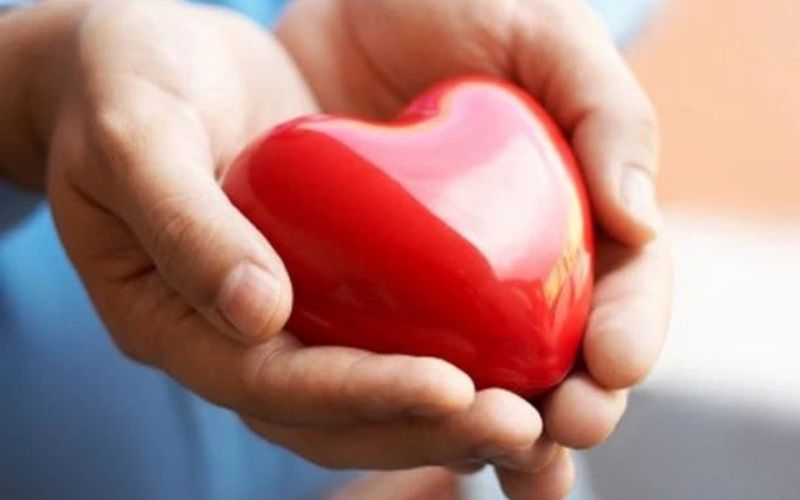 Hạn chế nguy cơ mắc phải các bệnh lý tim mạch