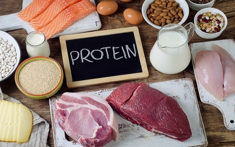 Protein